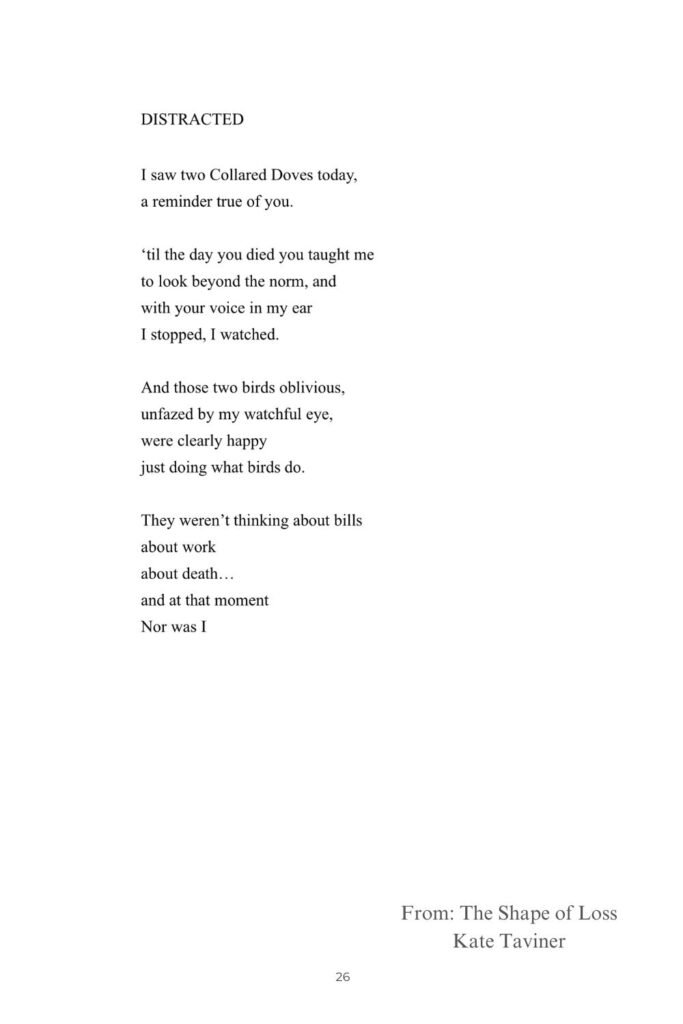 Distracted (A Poem for Sadness) Distracted - sadness reflected a poem that reflects the sadness of grief, but with a reminder to keep one eye on the future.